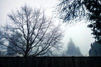 Into the fog...