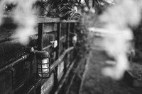 Rainy Days